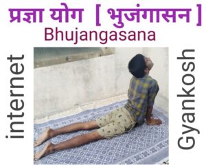 bhujangasana yoga kaise kare, bhujangasana in hindi,