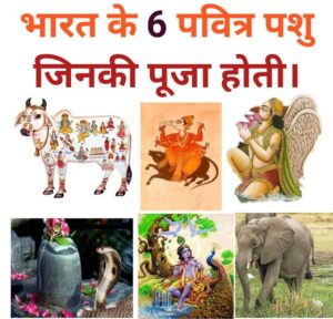 Pavitra pashu konse hai, Holy animals of india,