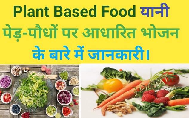 Plant Based Food in hindi, Healthy Diet Food Konsa hai,