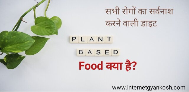 plant based kya hai, the china study diet plan in hindi,