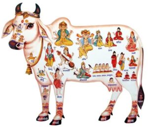most sacred animal in hinduism, Cow worship india,