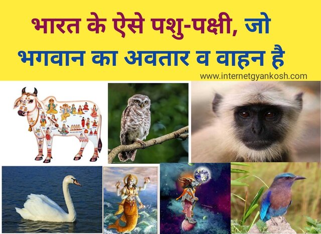 Dharmik mahatva ke pashu pakshi, Vedic animals in hindi,