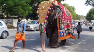 elephant worship in india, hathi kiska vahan hai,