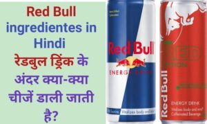 red bull ingredientes in hindi, red bull ke andar kya samagri hoti hai,