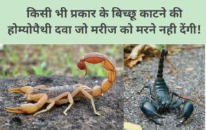 scorpion bite treatment in hindi, bichhoo katne ki dawa homeopathic,