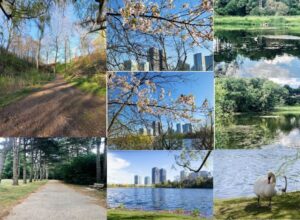 high park toronto tickets, what is the largest park in toronto,