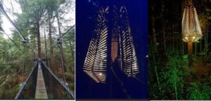 what time is redwoods night walk, redwoods treewalk opening hours,