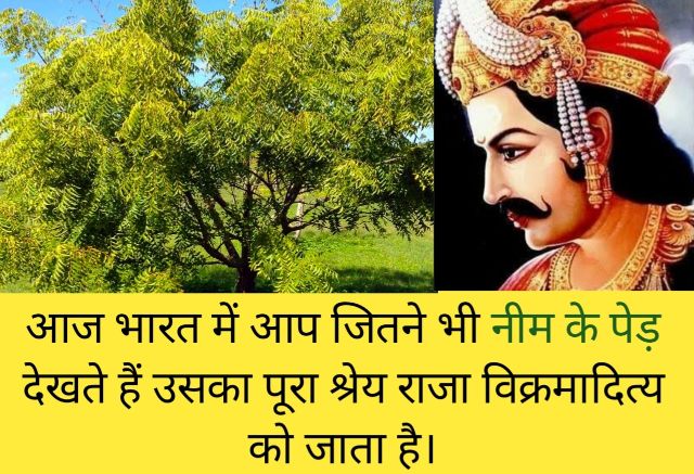 neem tree benefits in hindi, neem ped ke fayde,
